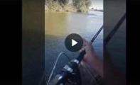 Рыбалка на сома